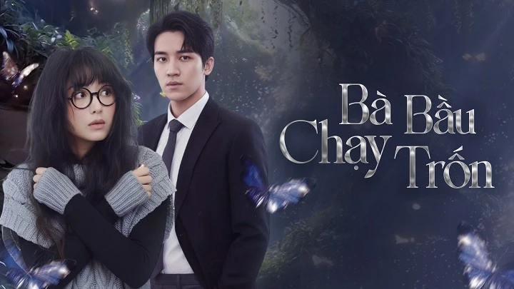 Xem phim Bà Bầu Chạy Trốn - Rổ phim