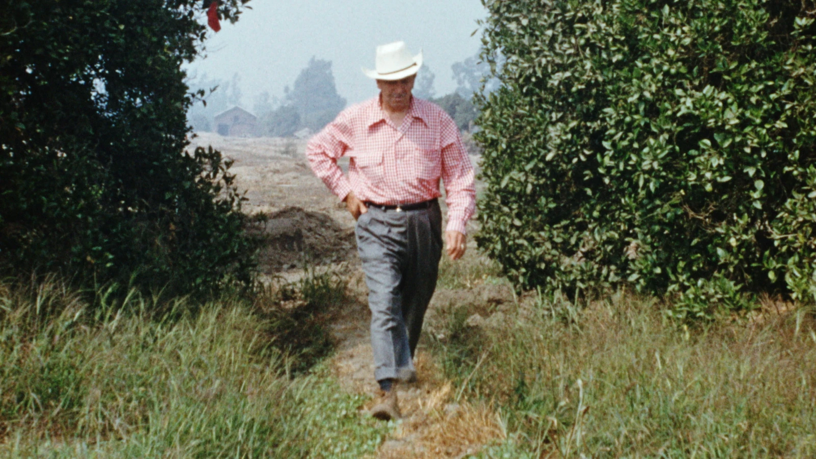 Disneyland: Tinh Hoa Thủ Công