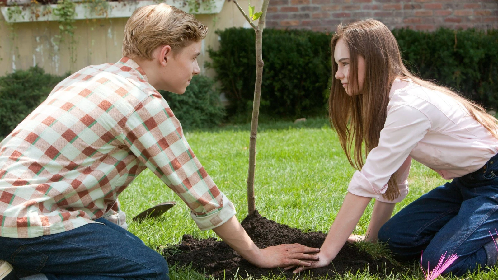 Một Thuở Tình Thơ