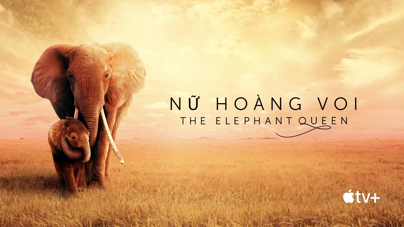 Nữ Hoàng Voi