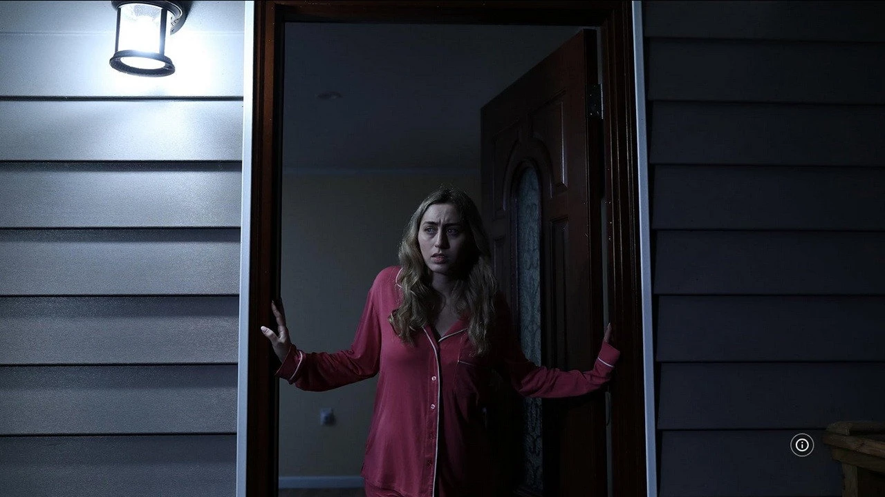 The Girl We Let In